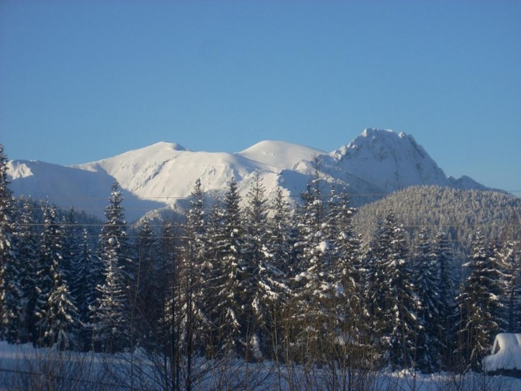 Bed & Breakfast Pod Kopiencem Zakopane