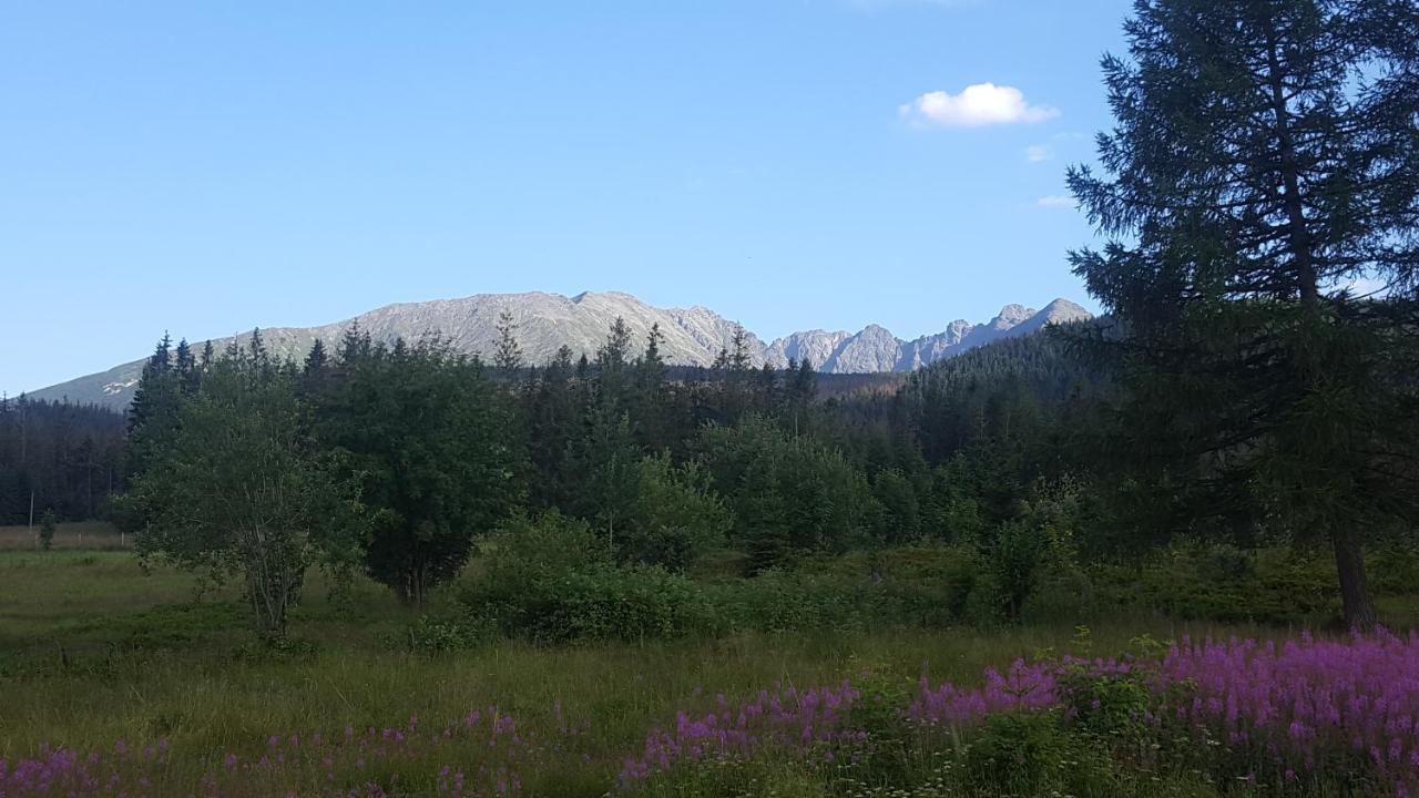 Pod Kopiencem Zakopane